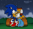  Sally and sonic