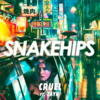  Cruel - Snakehips (ft. Zayn)