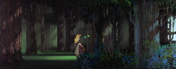  잠자는 숲속의 미녀