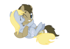  Derpy and Doctor whooves