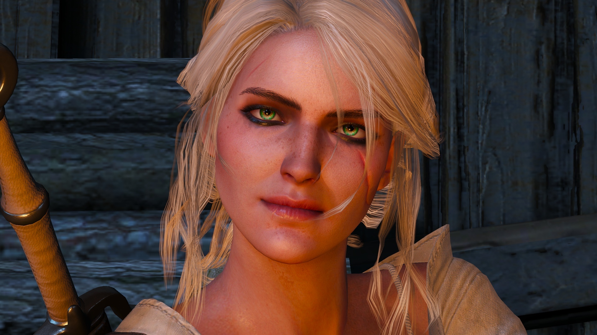 Fanpop poll, who is your favourite the witcher 3: wild hunt character?, the...