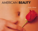 5.American Beauty / yorkshire_rose 