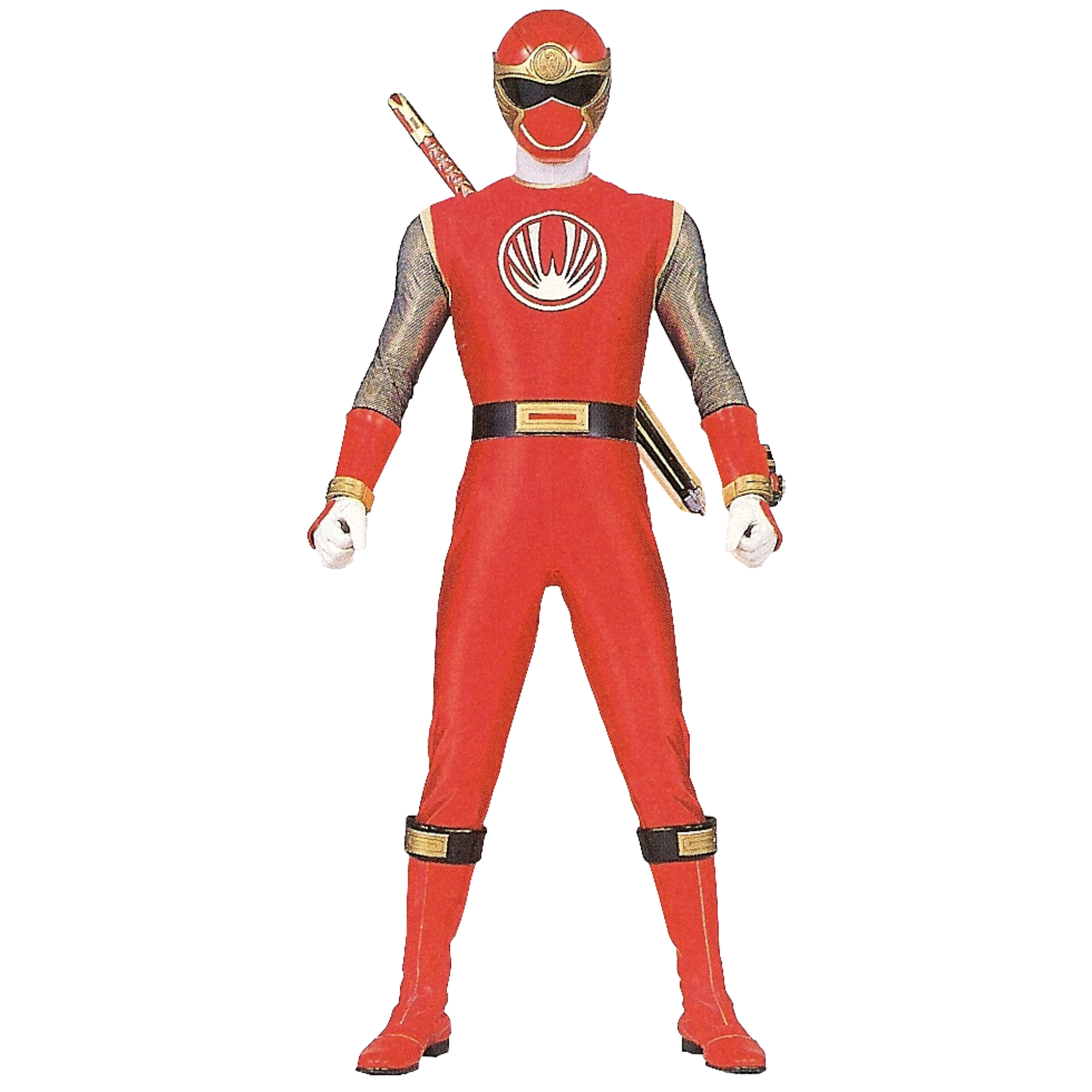 favorit Ninja Storm Ranger Costume? the power rangers. 