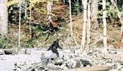 Washington to track Bigfoot 