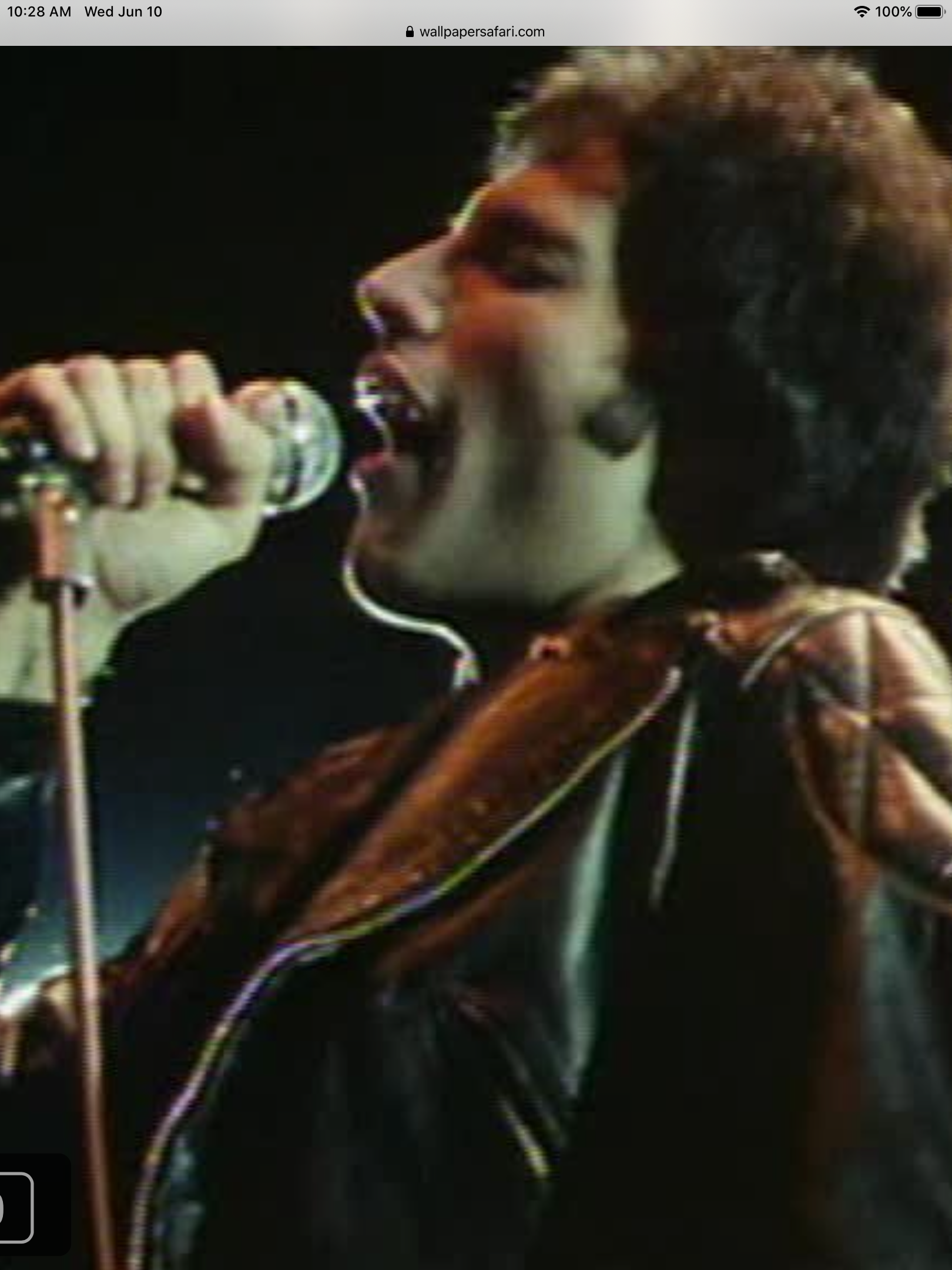 Freddie Mercury Teeth Gif : Freddie Mercury Was Attractive 