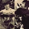 Beatles With Cats rainandbomba photo