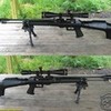 fx revolution pcp air rifle (real air gun not cheap i want) Boltdoglover photo