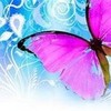 i love butterflies:) suraya121 photo