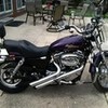My Harley sandrasaint photo