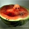 Melon man artlover7254at photo