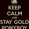 Stay Gold Ponyboy mjacksonfan1 photo