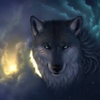 Wolf picture from google   Werewolf2013 photo