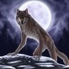 Werewolf from  Google   Werewolf2013 photo
