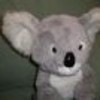 A plush koala toy Leonardthekoala photo