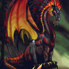  dragonrider1 photo