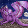  dragonrider1 photo