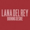 Download Burning Desire on iTunes. levinstein photo