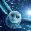 Legend-of-the-Guardians-The-Owls-of-Ga