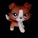 lps_lover7234