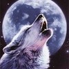  lunarwolf123 photo