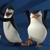 Penguins of Madagascar Cowtails photo