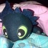 toothless in my bed snakemanfan photo