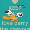 Perry! BFFL642 photo