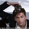 David tenant with a cat on his head .___. snakemanfan photo