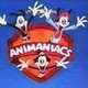 Animaniacs8122