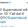 this made my day when the news came out! <3 #SEASON10 #SUPERNATURAL Lisa_Winchester photo