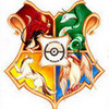 Pokemon Hogwarts Shield! DragonAura15 photo