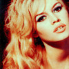 Brigitte Bardot petunia photo