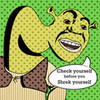  Shrek-Is-Love photo