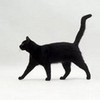 Bombay Cat 🐱 ➼ (My Fanpop Page) JennyKB photo