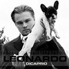 Leo Wallpaper AnnaDiCaprio photo