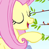 credit to fluttershy672 --fluttershy--- photo