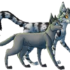 Finchwing Draws Dovewing and Bumblestripe bluefire700 photo