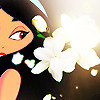 As gorgeous as jasmine flower 3xZ photo