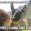 llamas dont just love spitting on us u know caseyhoops photo