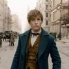 Newt Scamander from Fantasic Beasts and Where To Find Them <3 Renarimae photo