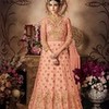 Peach Colored Heavy Net Heavy Embroidered Semi Stitched Salwar Suit  matthewe273 photo