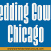 Wedding Gowns Chicago dantelabridal photo