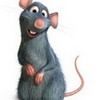 Ratatouille!! deedragongirl photo