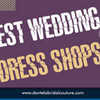 Best Wedding Dress Shops in Chicago dantelabridal photo