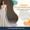 Plus Size Wedding Dresses Chicago dantelabridal photo
