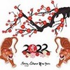 2022 year of the tiger <3 GDragon612 photo