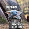 May the Fourth Be With You aprildawn73 photo