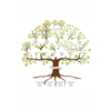 Family Tree Template with Siblings kevinselders99 photo